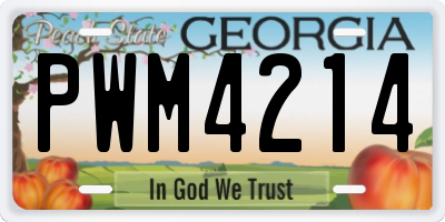 GA license plate PWM4214