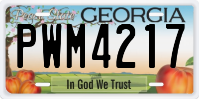 GA license plate PWM4217