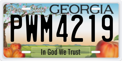 GA license plate PWM4219