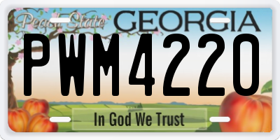 GA license plate PWM4220