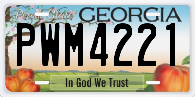 GA license plate PWM4221