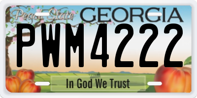 GA license plate PWM4222