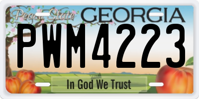 GA license plate PWM4223