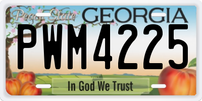 GA license plate PWM4225