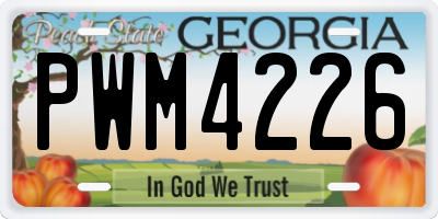 GA license plate PWM4226