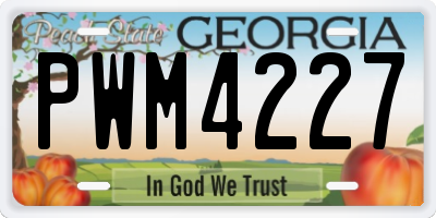 GA license plate PWM4227