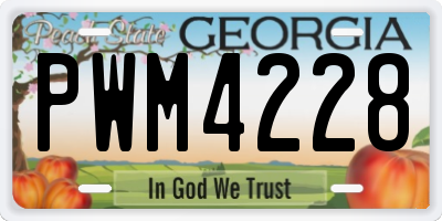 GA license plate PWM4228
