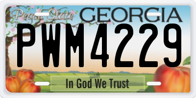 GA license plate PWM4229