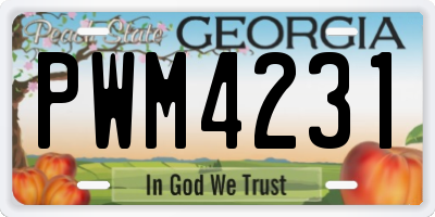GA license plate PWM4231