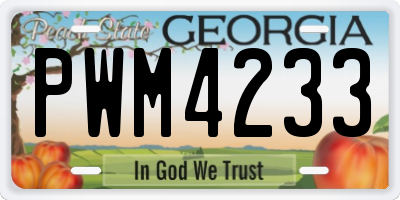 GA license plate PWM4233