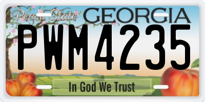 GA license plate PWM4235