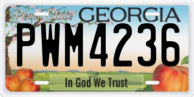 GA license plate PWM4236
