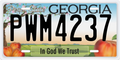 GA license plate PWM4237