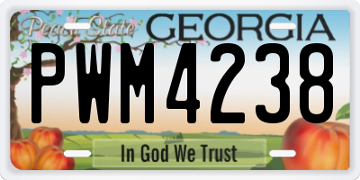 GA license plate PWM4238