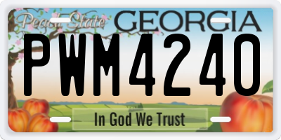 GA license plate PWM4240