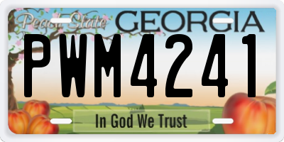 GA license plate PWM4241