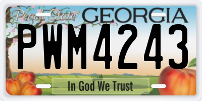 GA license plate PWM4243