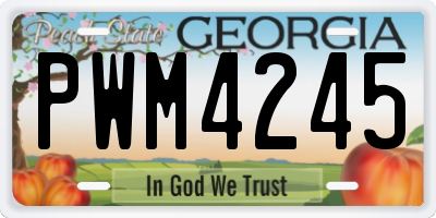 GA license plate PWM4245