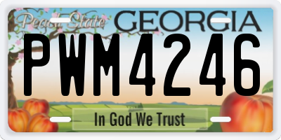 GA license plate PWM4246