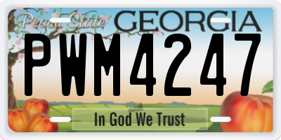 GA license plate PWM4247