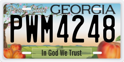 GA license plate PWM4248