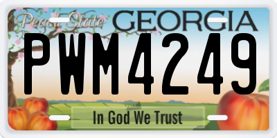 GA license plate PWM4249