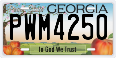 GA license plate PWM4250