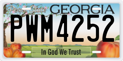 GA license plate PWM4252