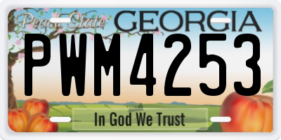 GA license plate PWM4253