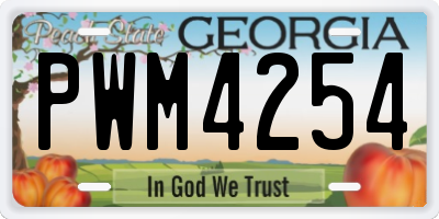 GA license plate PWM4254