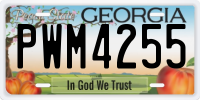 GA license plate PWM4255