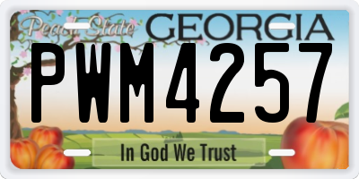 GA license plate PWM4257
