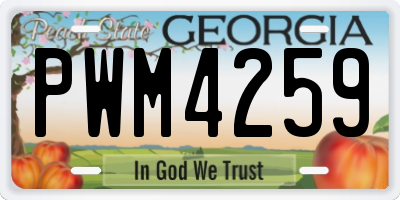 GA license plate PWM4259