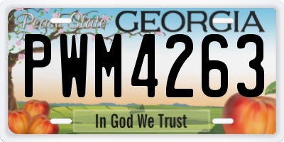 GA license plate PWM4263