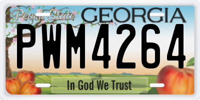 GA license plate PWM4264