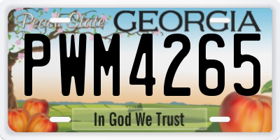 GA license plate PWM4265
