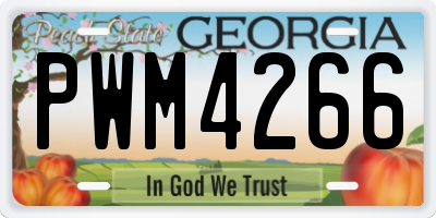 GA license plate PWM4266