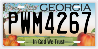 GA license plate PWM4267