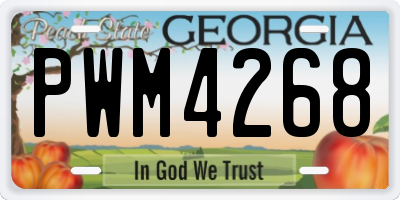 GA license plate PWM4268