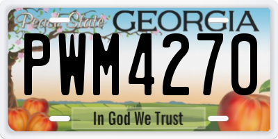 GA license plate PWM4270