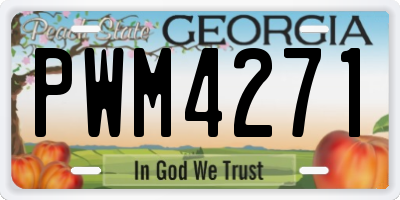 GA license plate PWM4271