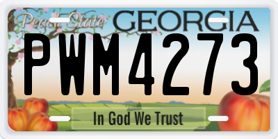 GA license plate PWM4273