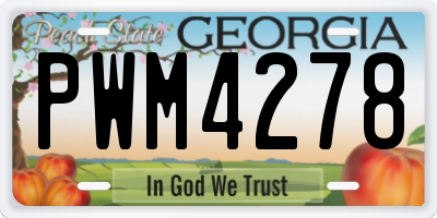GA license plate PWM4278