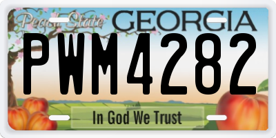GA license plate PWM4282