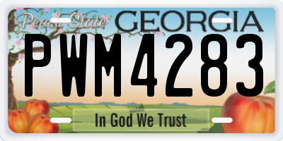 GA license plate PWM4283