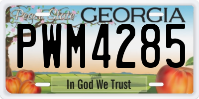 GA license plate PWM4285