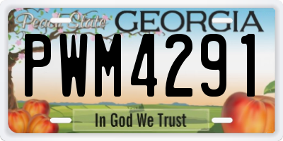 GA license plate PWM4291