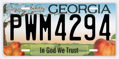 GA license plate PWM4294
