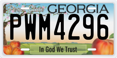 GA license plate PWM4296