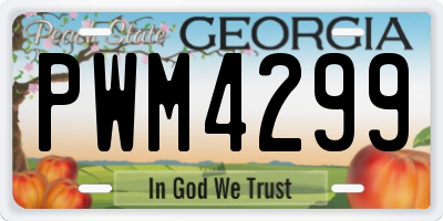 GA license plate PWM4299